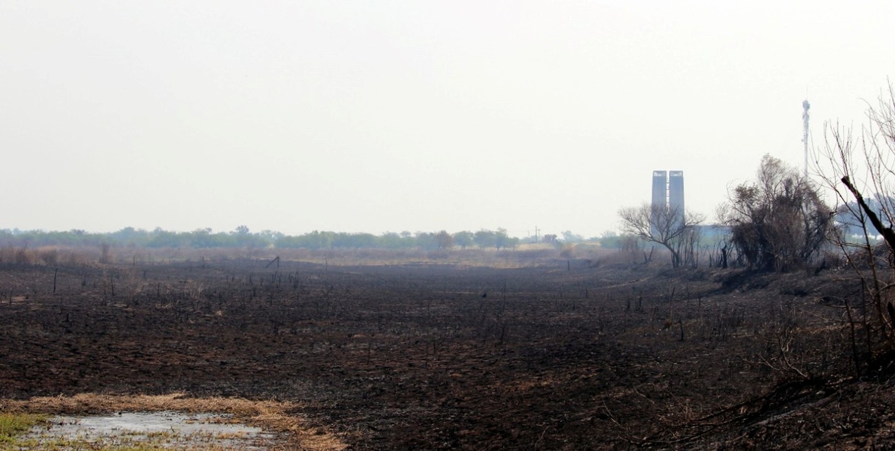 "Encontramos un humedal convertido en desierto", advirtió una bióloga que recorrió el área quemada