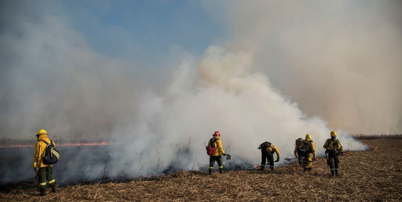 Una fiscal demandó a 19 rosarinos por los incendios en las islas entrerrianas