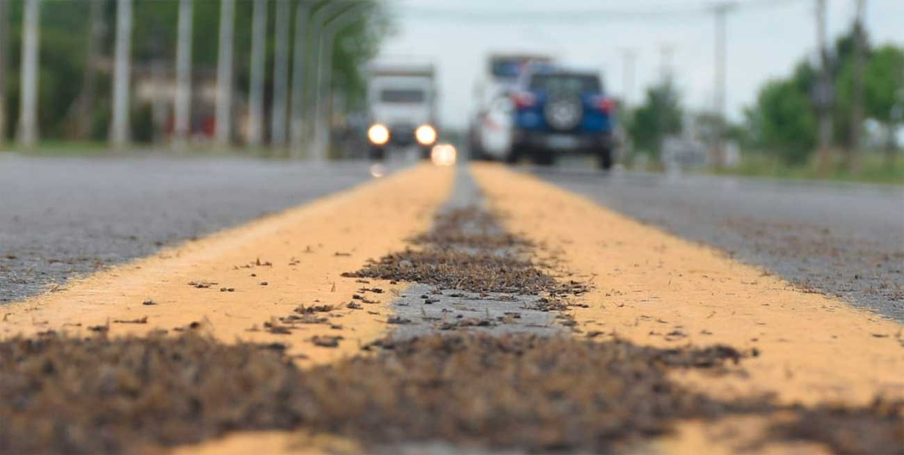 Susto al volante en ruta 11: chocaron una "lluvia de avispas"
