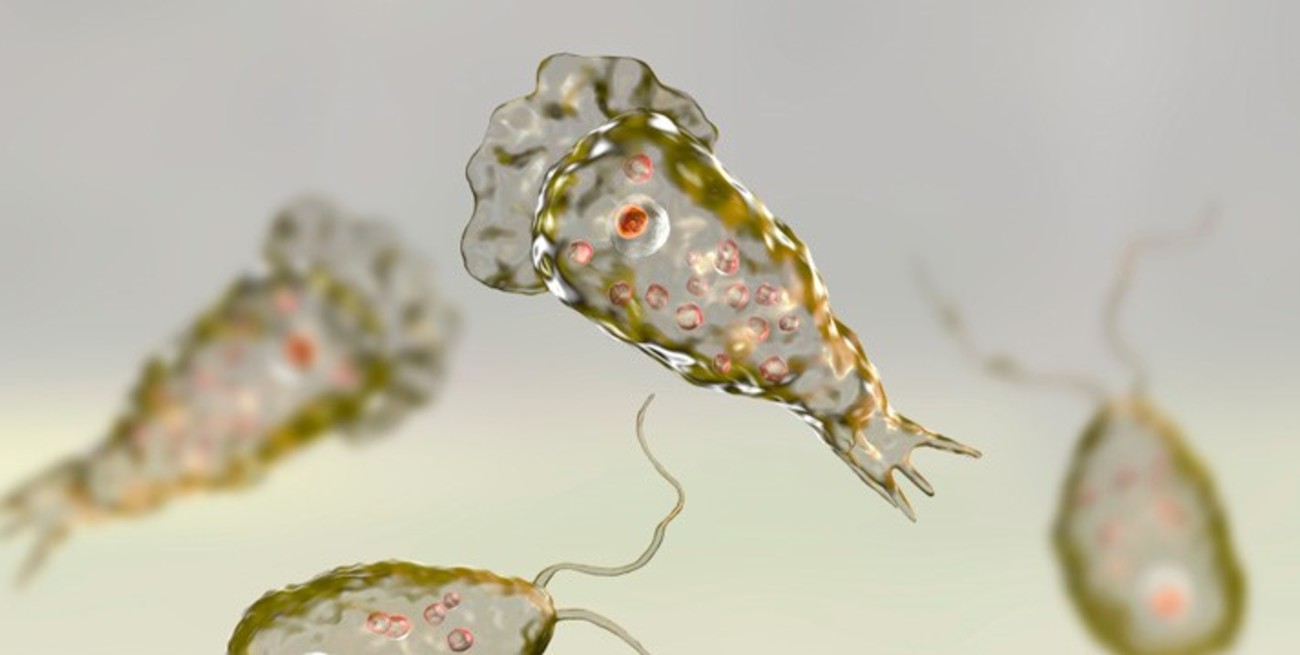 Alerta en Estados Unidos tras la muerte de un joven por la ameba comecerebros