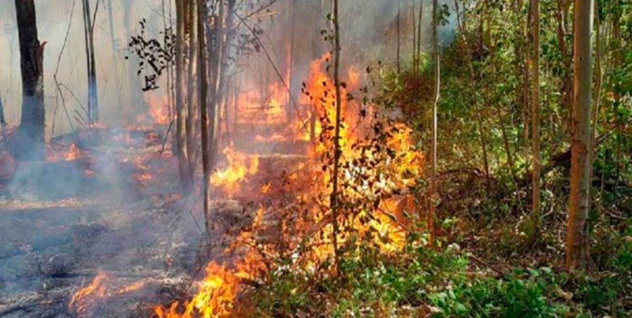Se registran incendios forestales activos en tres provincias