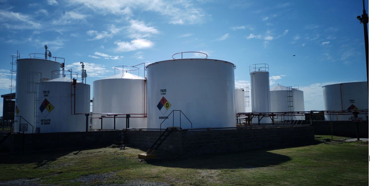 El precio de los biocombustibles estará atados al precio de la nafta
