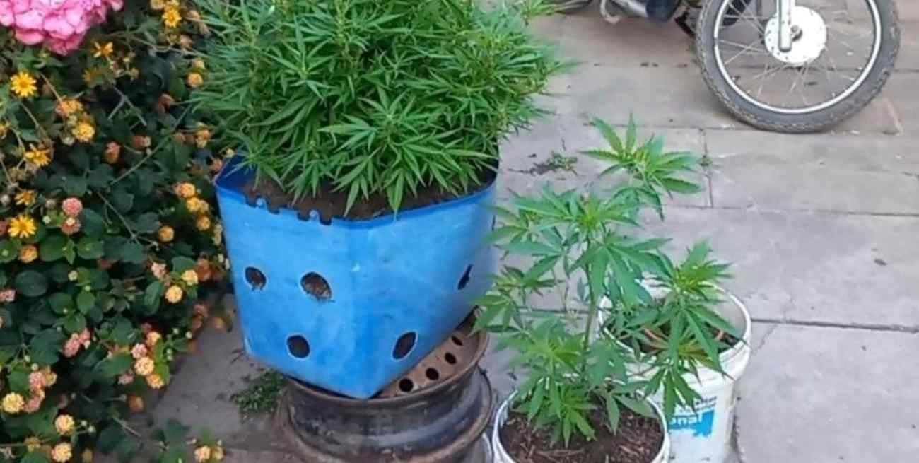 Narcomenudeo: allanaron la Alcaidía de la Unidad Regional XIX de Vera