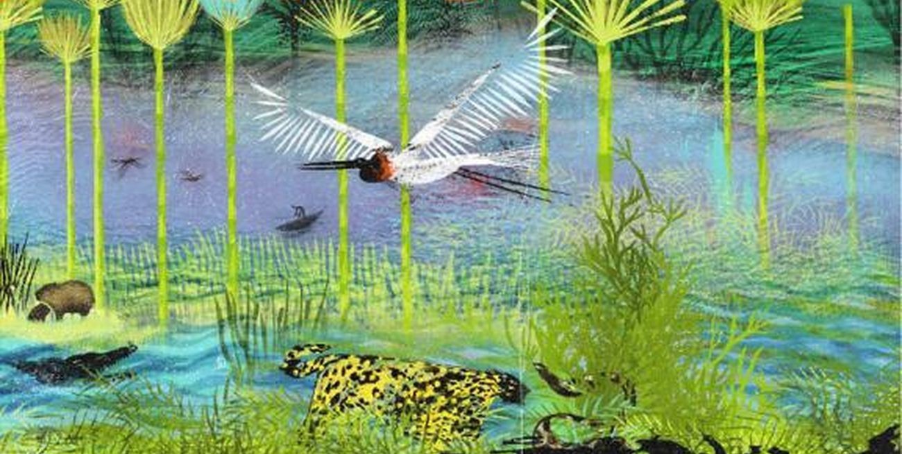 Festival Somos Humedal