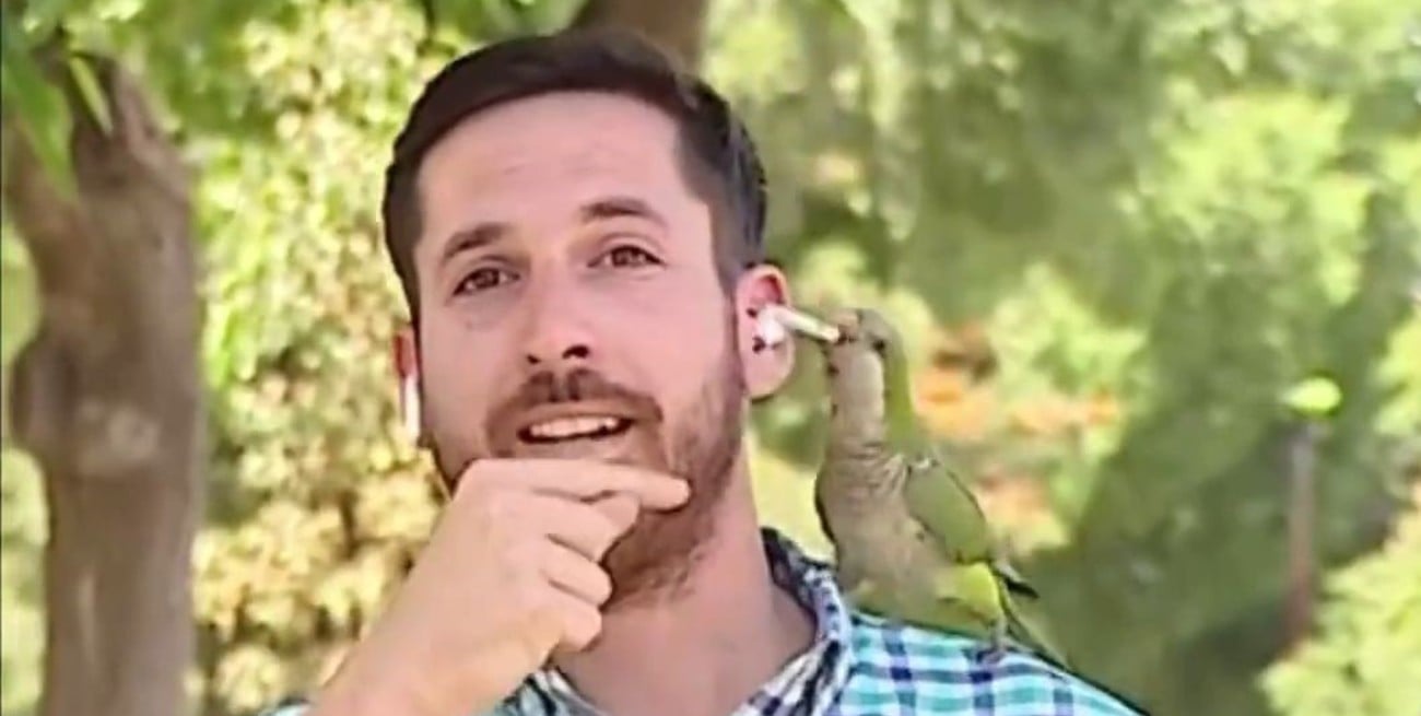 Video: el insólito “robo” que sufrió un periodista chileno mientras transmitía en vivo