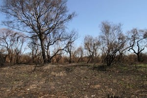 Imagen ilustrativa. Crédito: Archivo El Litoral / Mauricio Garín