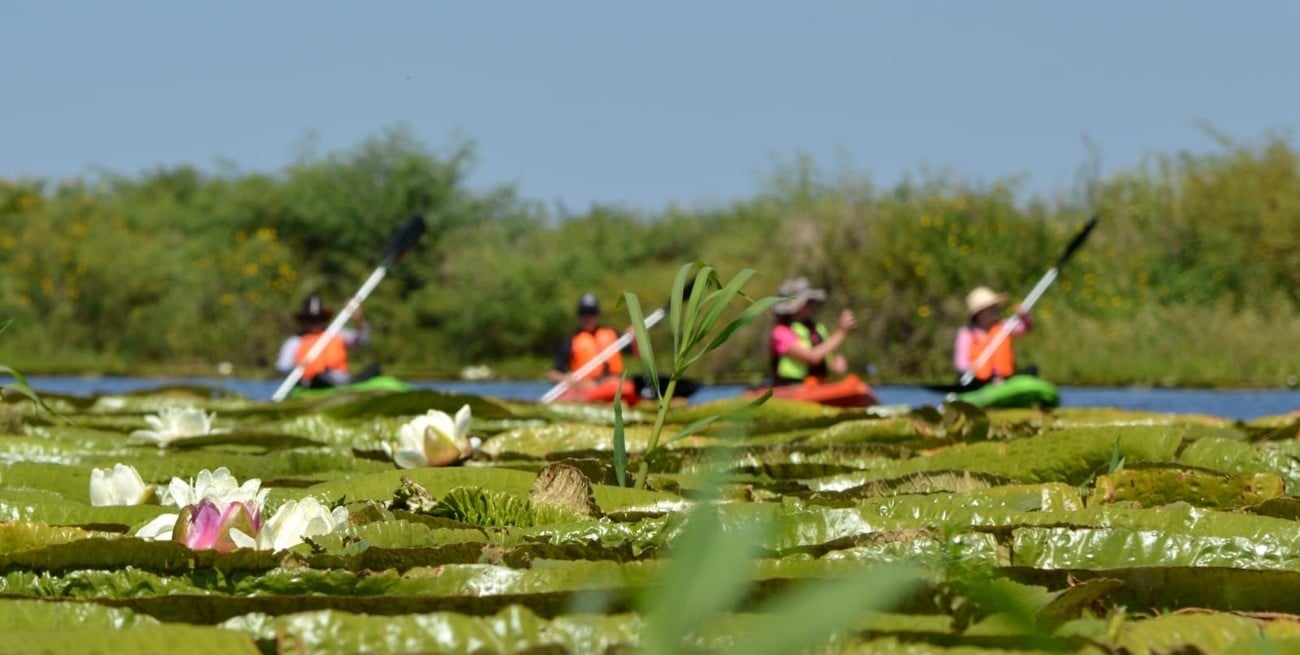 Una tarde a remo por las cristalinas aguas del delta superior de la laguna Setúbal