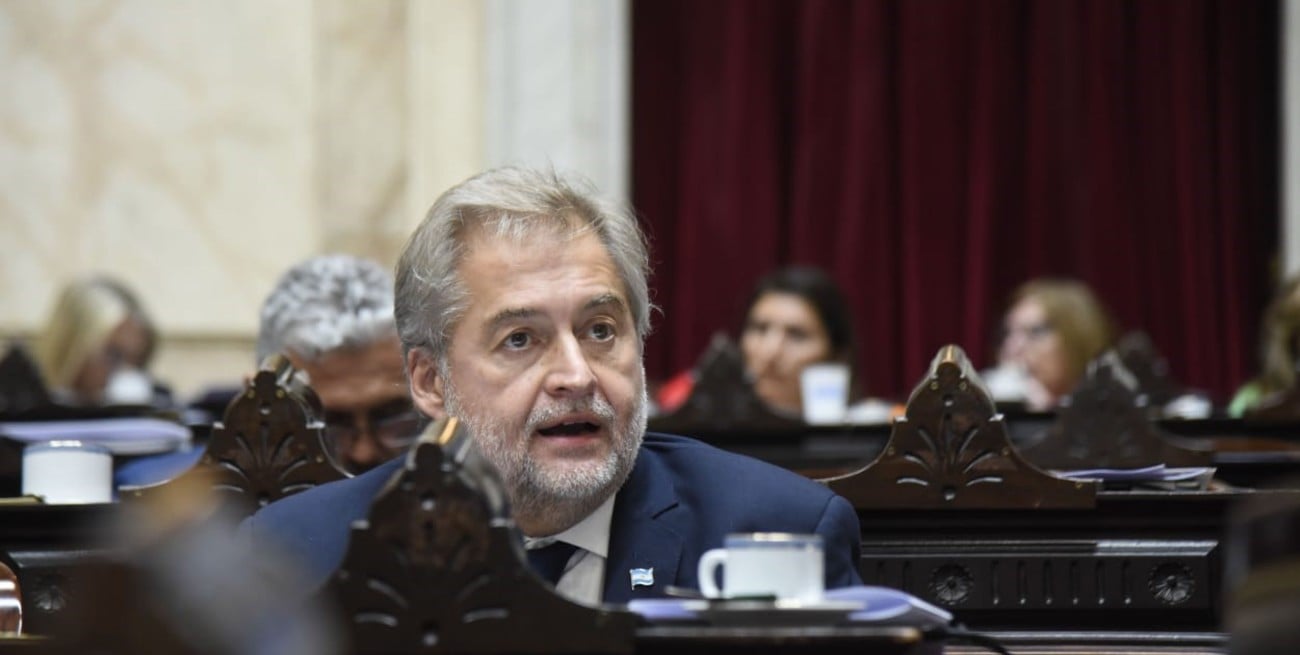 Mirabella presentó dos proyectos para endurecer las penas a robos y hurtos