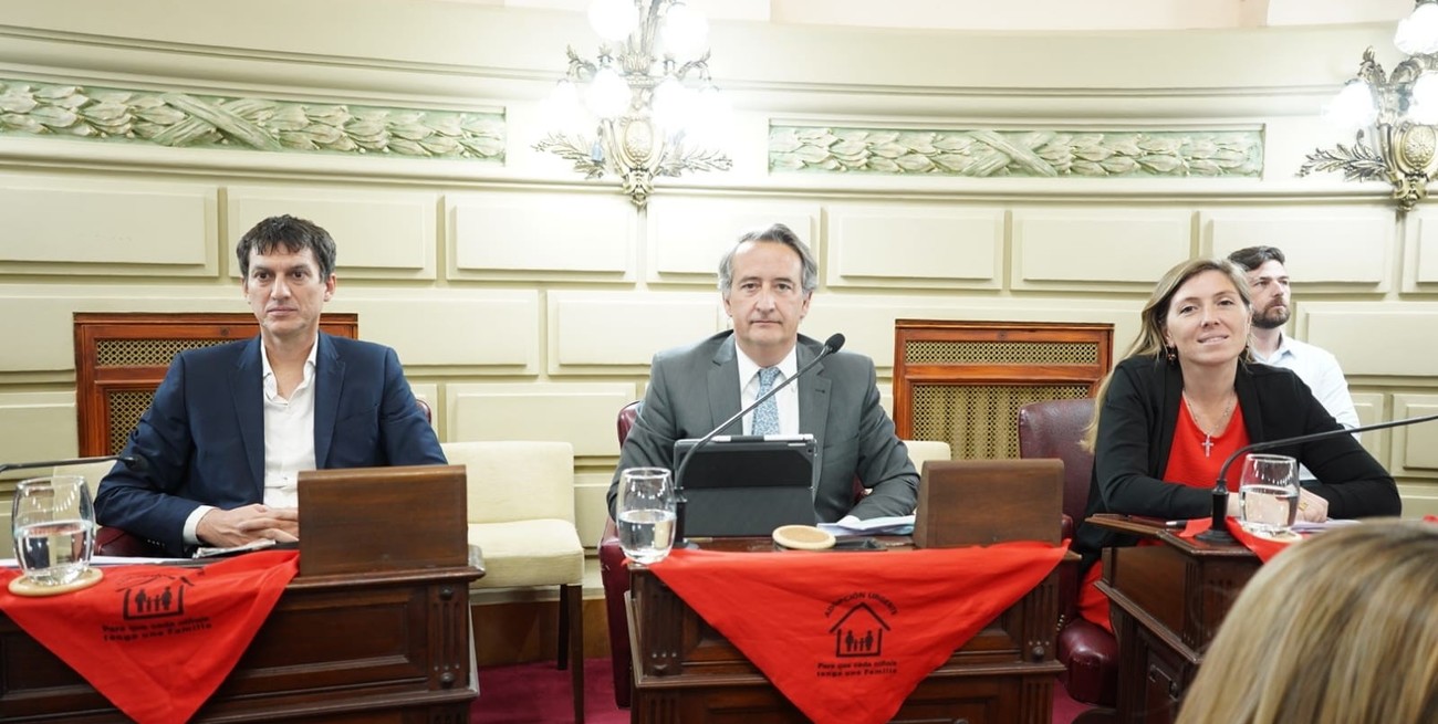 Pañuelos rojos: instituyen el 15 de septiembre de cada año como el ''Día Provincial de la adopción"