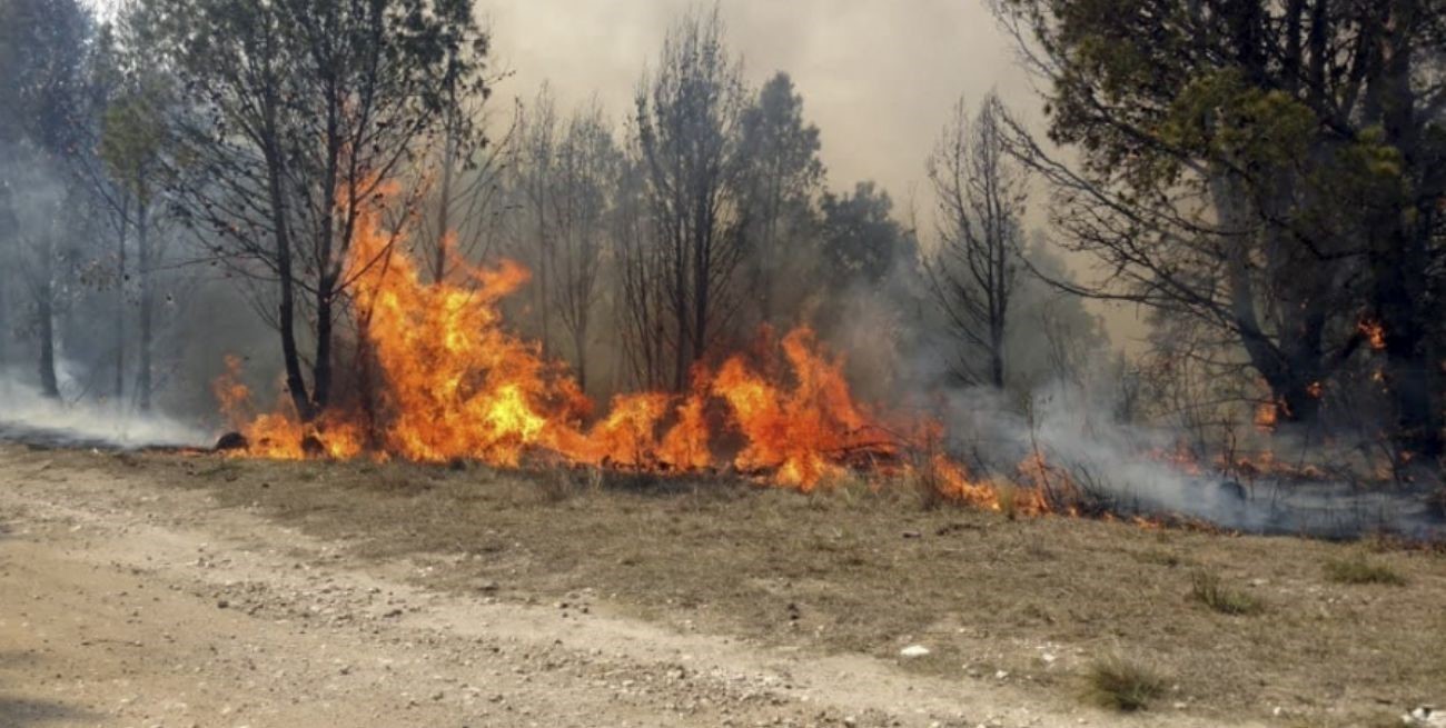 Dos provincias del norte de Argentina registran focos de incendios forestales