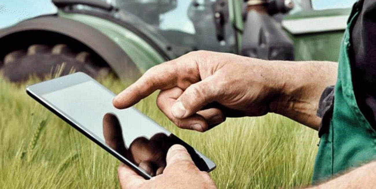 Tutorial: paso a paso, el trámite para obtener la compensación para sembrar soja o maíz