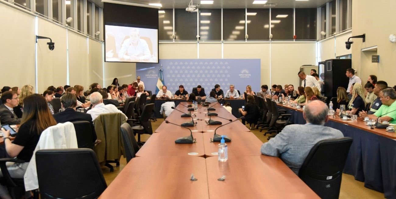 Con invitados, Diputados retomó el análisis de la Ley de Envases