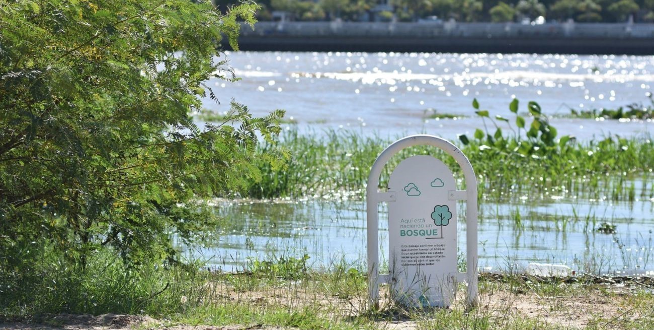 Premio latinoamericano para el bosque fluvial de la laguna Setúbal