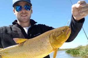 Un dorado (cuya devolución es obligatoria) capturado en la semana en jurisdicción de San Javier. Crédito: Gentileza.