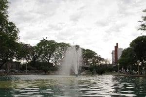 Imágen ilustrativa Guillermo Di Salvatore