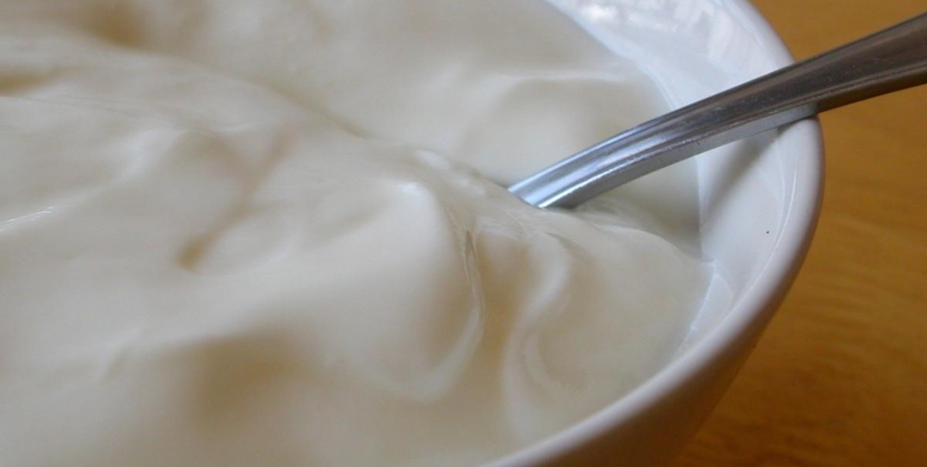 Mundial Qatar 2022, día 10: leche no es igual a yogurt