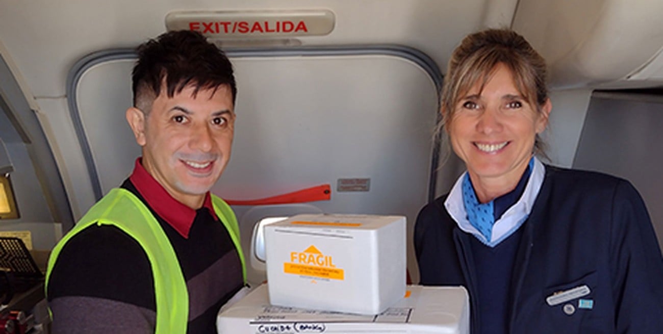 El traslado aéreo de órganos: clave para la logística de la donación y trasplantes