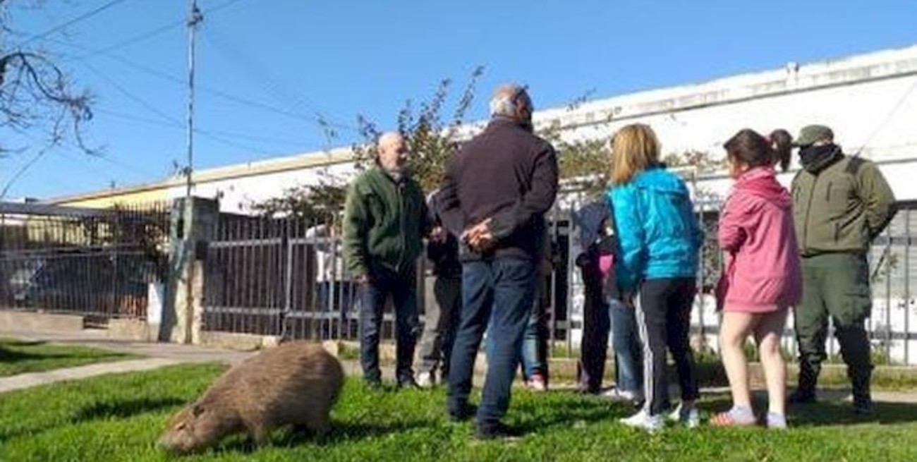 Clan familiar: se hicieron famosos por criar al carpincho Pancho y ahora los condenaron por narcos