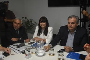 Somaglia acompañó a la ministra Arena a la reunión en Diputados para informar sobre jueces comunitarios. En la foto, también el presidente de la Cámara, Pablo Farías. Foto: Pablo Aguirre