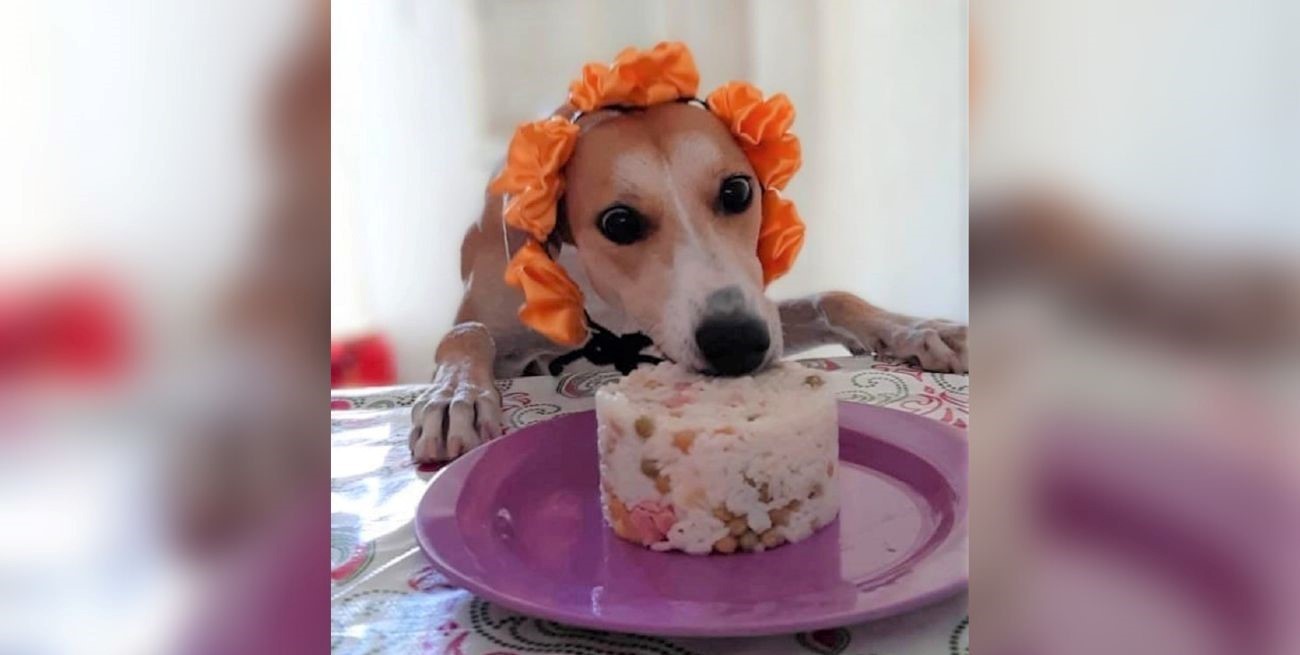 Línea directa: "Urgente reclamo por desmalezamiento y zanjas" y otros mensajes