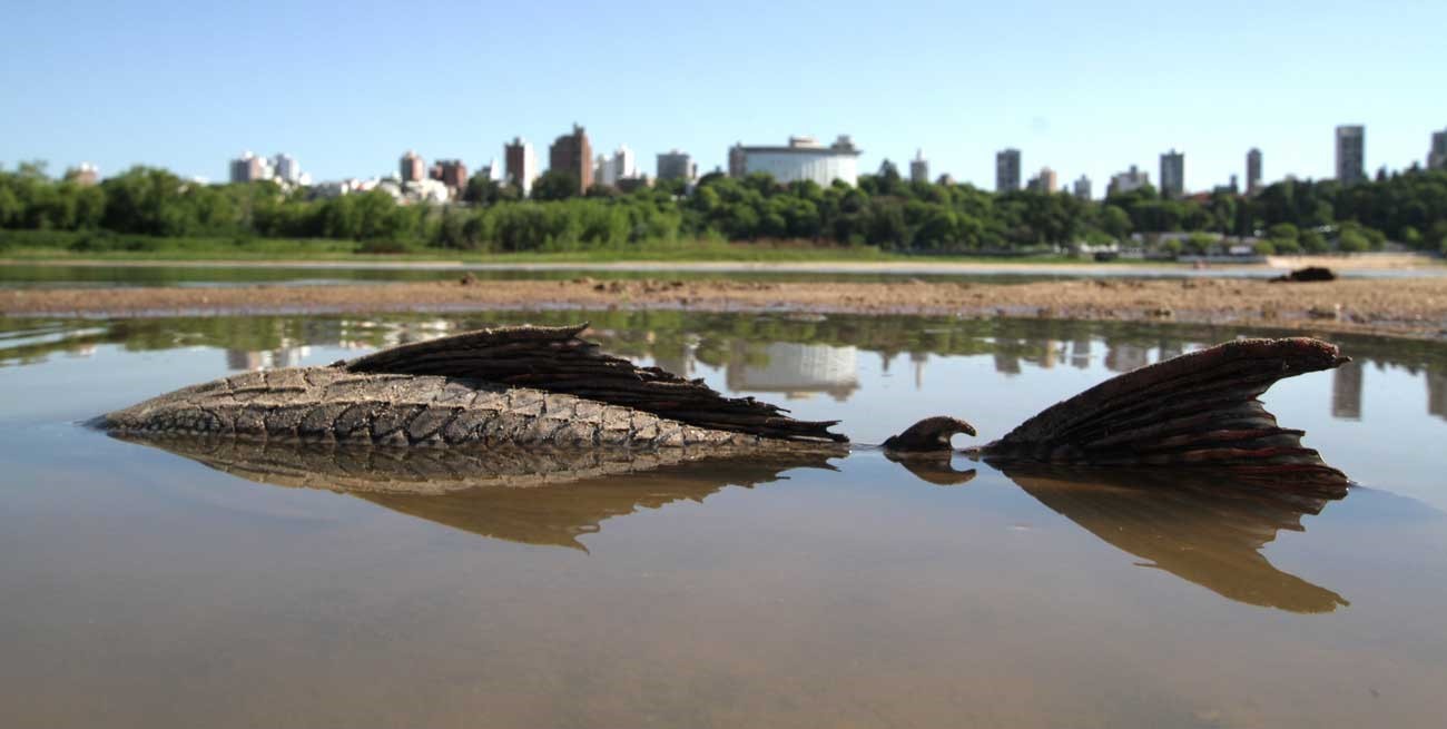 Mes a mes, las mejores fotos de 2022