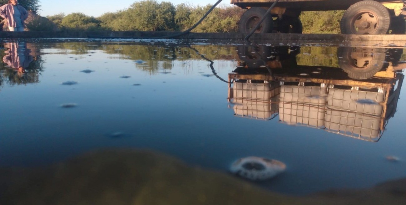 Pequeños ganaderos buscan acarrear agua en tanques o barriles para salvar su hacienda