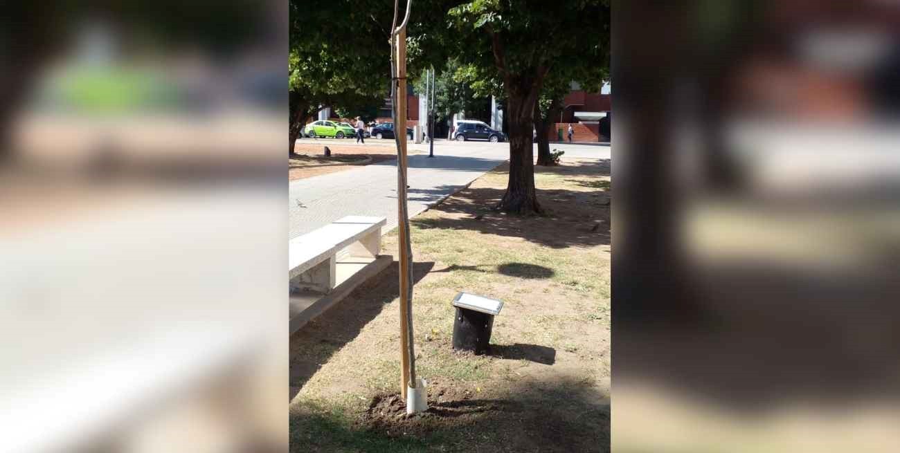 Filemón ya está en la plaza San Martín