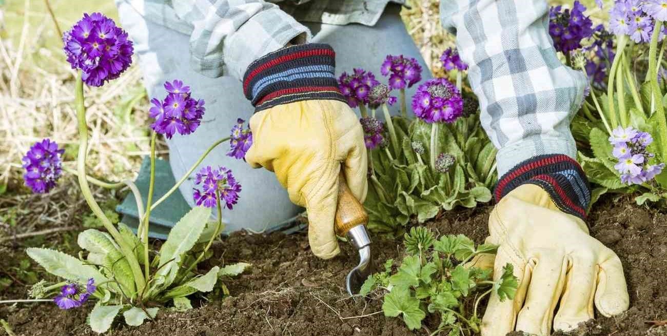 Presentaron una capacitación en formación y entrenamiento en jardinería y paisajismo