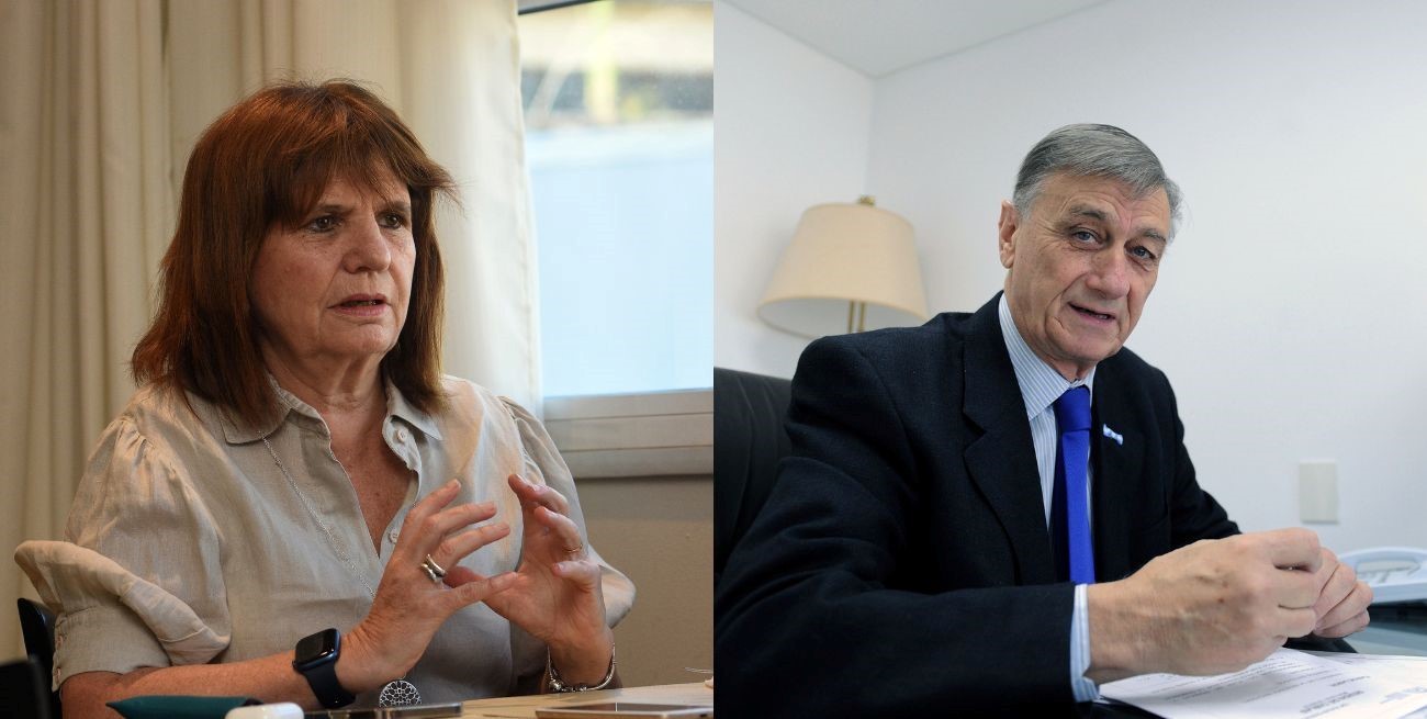 Bullrich recordó a Binner