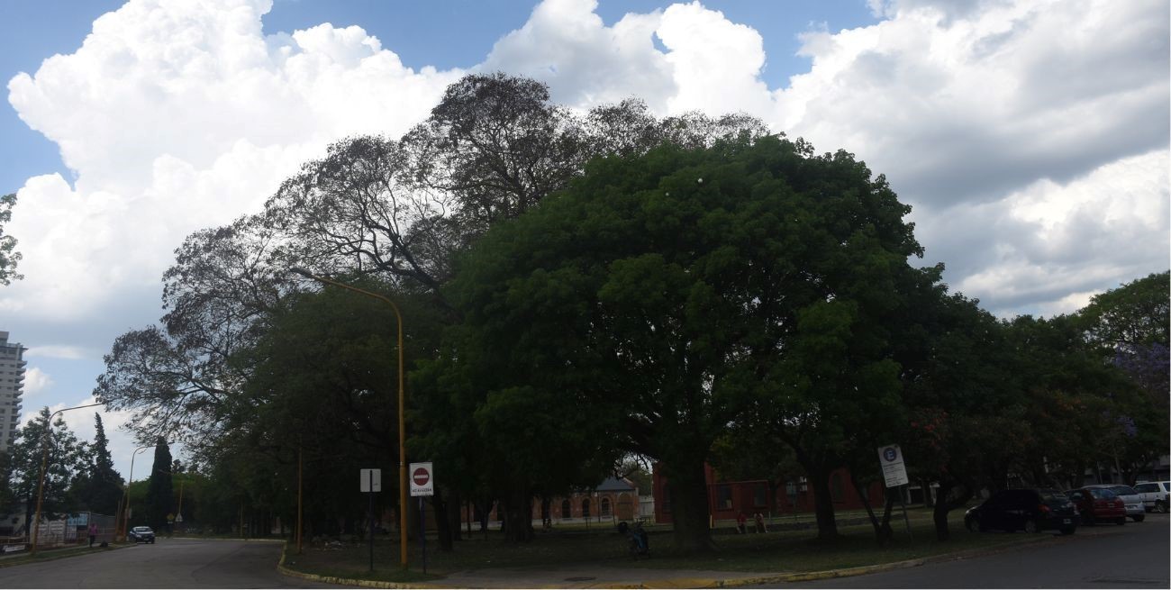 Lunes agradable, pero con probabilidad de lluvias en la ciudad de Santa Fe