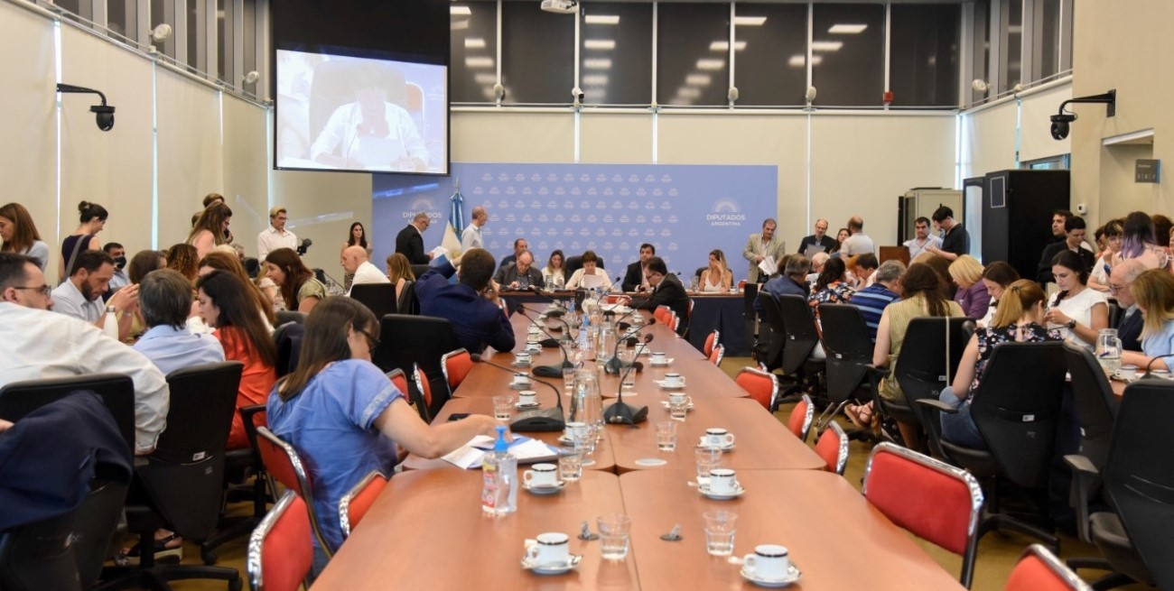 Diputados analiza proyectos de los planes de ahorro automotor