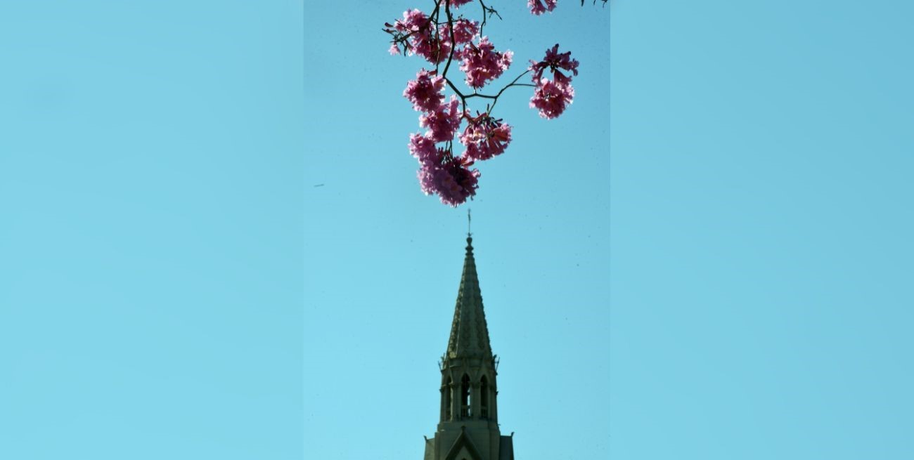 Línea directa: "La esquina más olvidada", "Pirotecnia Cero" y otros mensajes