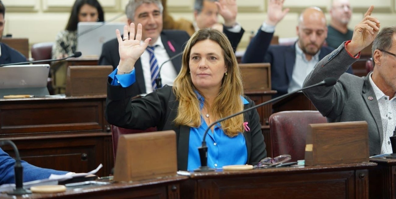 Di Stéfano: "Trabajamos proponiendo soluciones a los problemas que provoca la ausencia del Estado provincial"