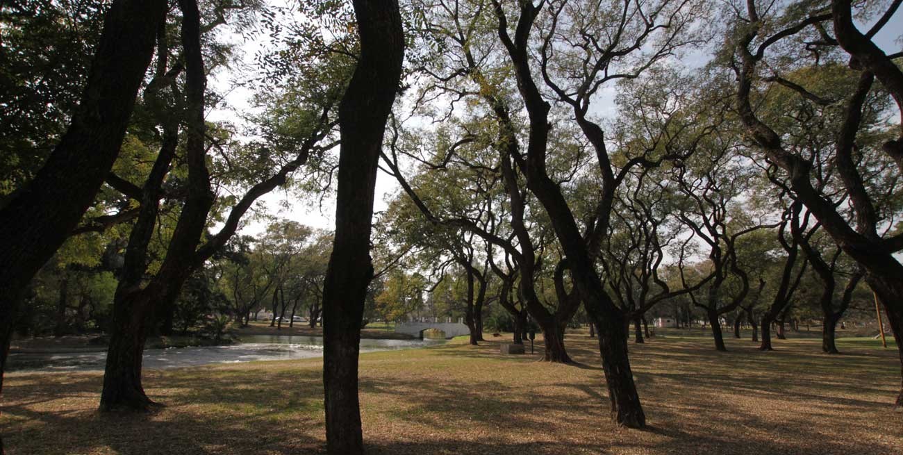 Lo apuñalaron para robarle la bicicleta y la motoguadaña

