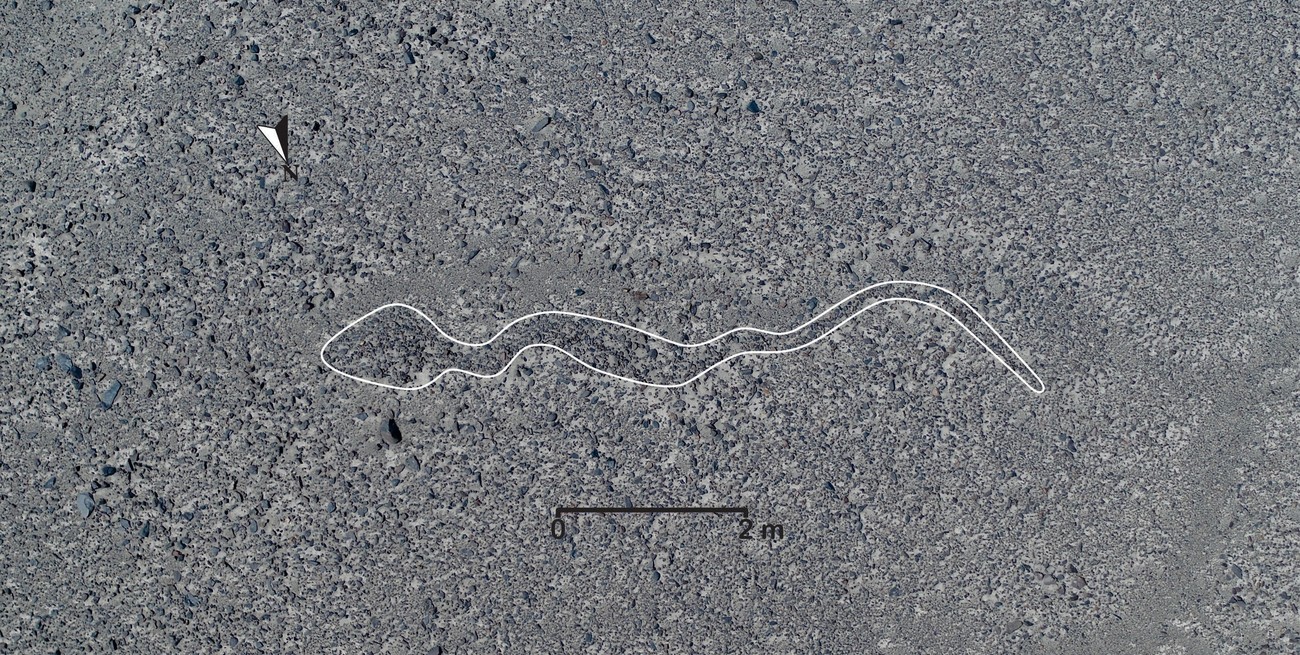 Descubren más de 100 nuevos diseños antiguos en las Líneas de Nazca