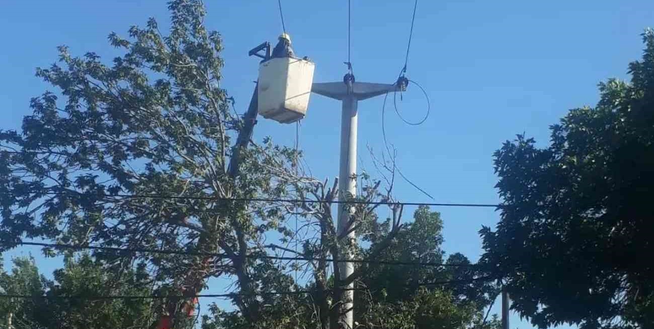 EPE realizó trabajos de mejoras en la red eléctrica de San Javier

