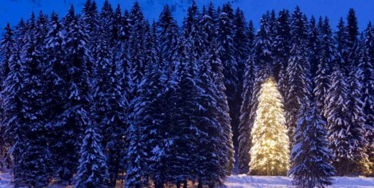 El árbol de los deseos