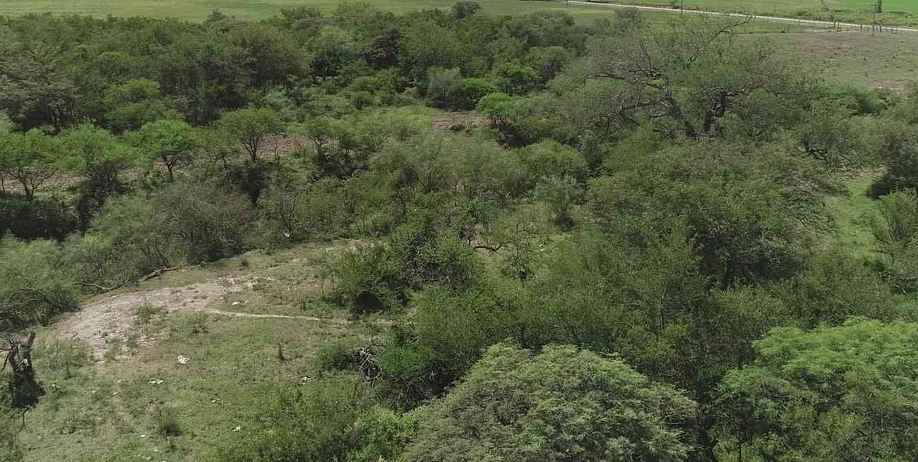 San Jerónimo del Sauce: arranca 2023 con el foco puesto en su plan ambiental