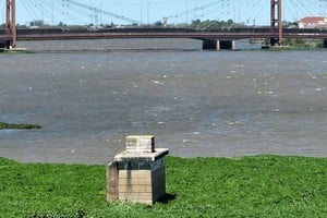 Embalsado. Este gran conjunto de vegetación se desprendió del suelo con el repunte del río y viajó aguas abajo hasta quedar contra los viejos pilares ferroviarios, cerca de la desembocadura de la laguna. Crédito: Fernando Nicola