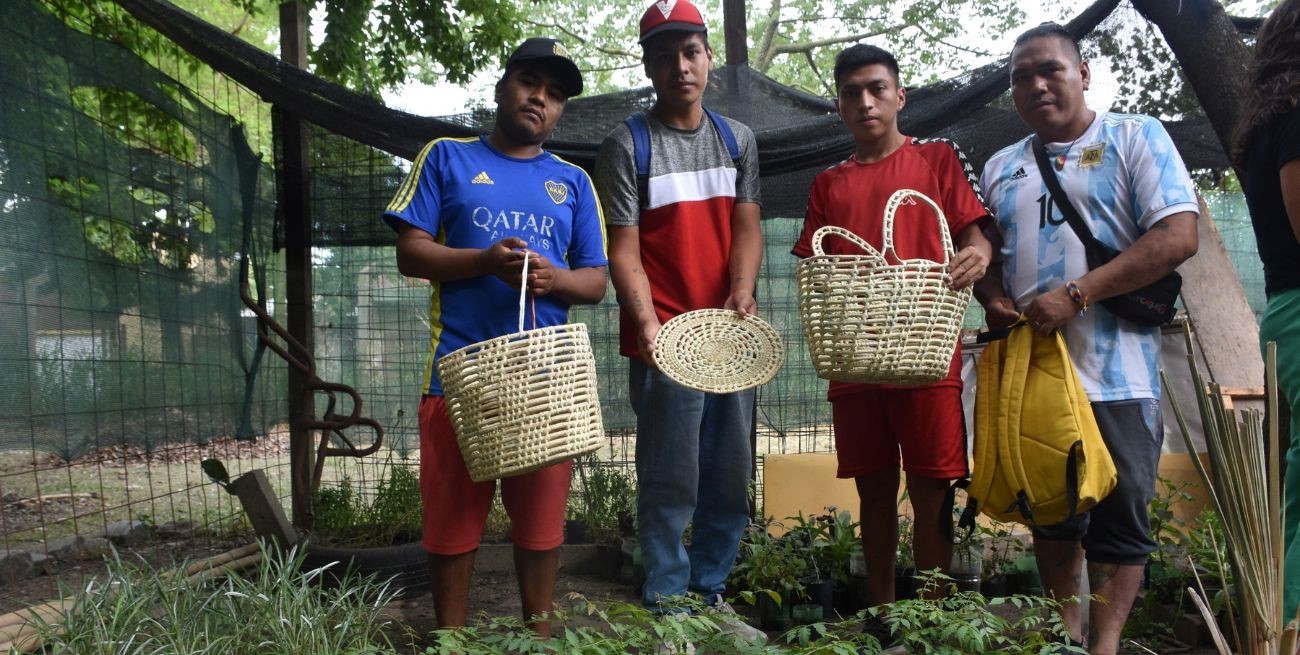 Jóvenes Qom y la idea de cultivar plantas de palmas en Santa Fe