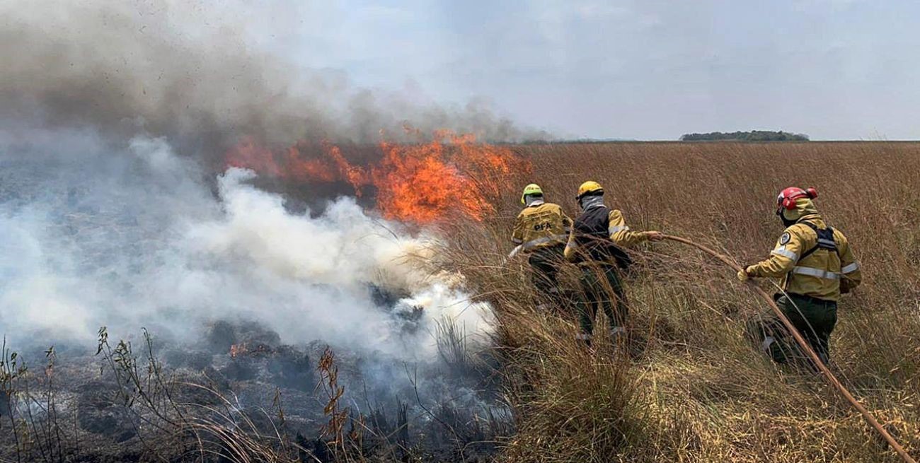 Continúan activos focos de incendios forestales en Corrientes y Entre Ríos
