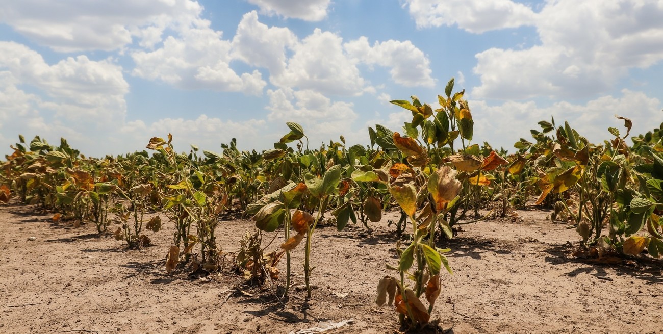 Productores agropecuarios piensan en dejar la actividad por la realidad climática