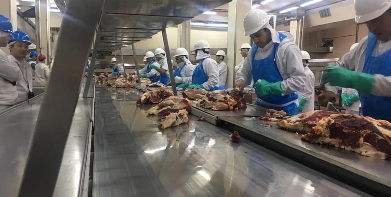 Los cortes Kosher volverían a producirse en el frigorífico Swift venadense a mediados de enero 