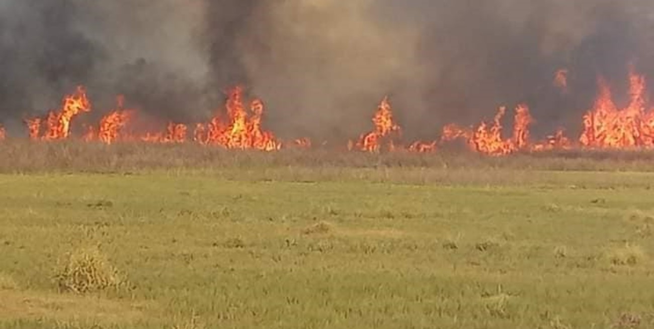 Barrancas: un incendio de grandes proporciones asoló Puerto Aragón
