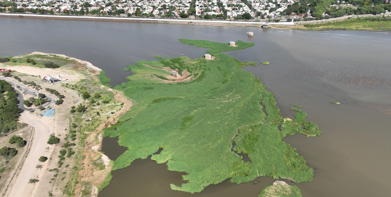 Camalotal de la Setúbal: "Hay que aprender a convivir con el entorno"