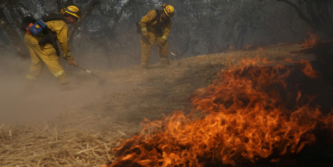 Corrientes, Entre Ríos, Santa Fe, Río Negro y Tierra del Fuego registran incendios forestales