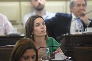 Lucila de Ponti, presidenta de la Comisión de Género de la Cámara Baja. Foto: Pablo Aguirre.