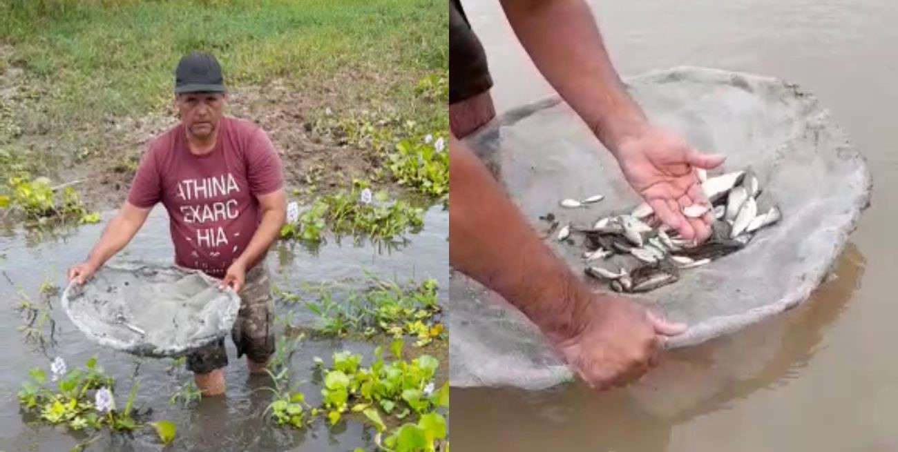 Coronda: el cacique cumplió y comenzó a rescatar peces estancados en las islas