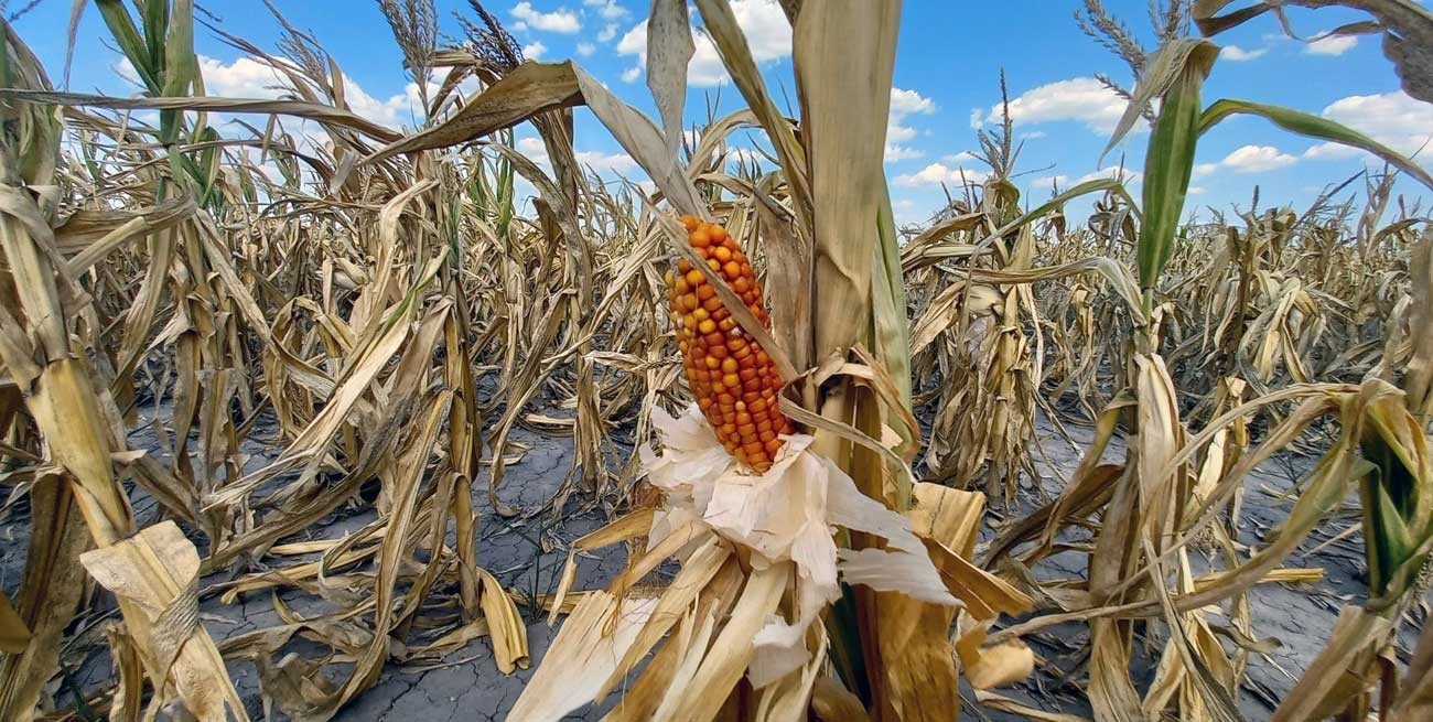 Sequía crítica: después de una Niña persistente,  el otoño podría traer un cambio de condiciones