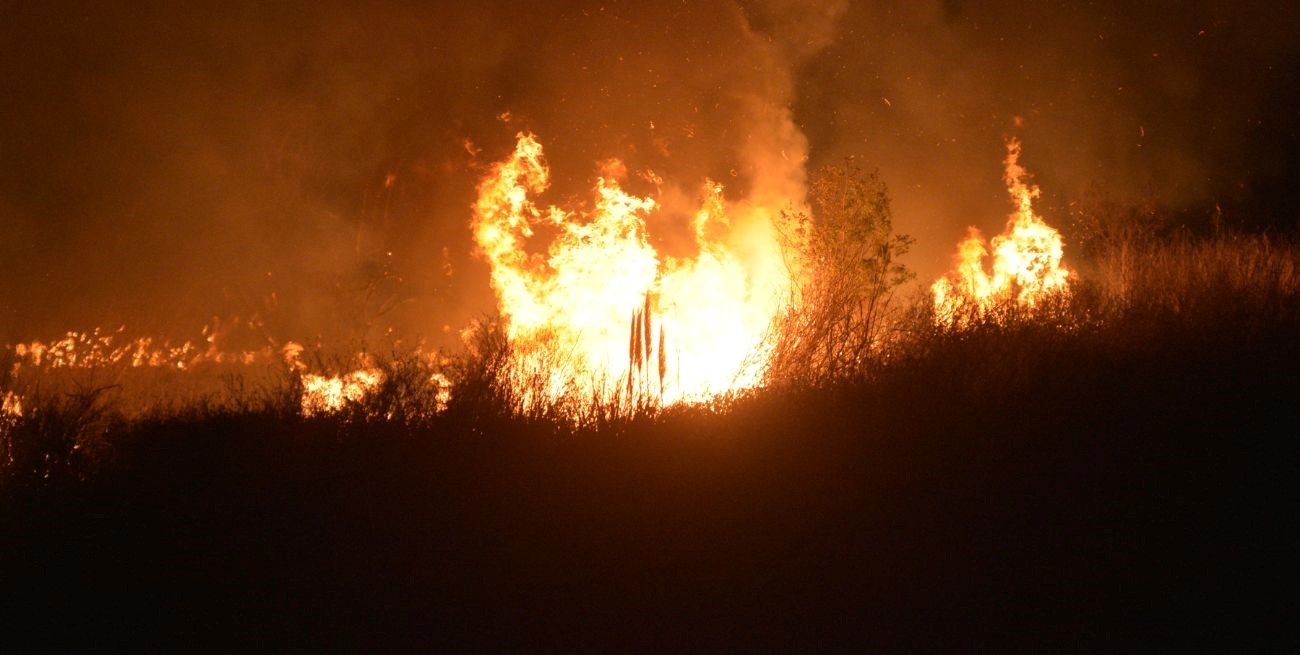 Continúan los incendios en el país ¿Dónde hay focos activos?